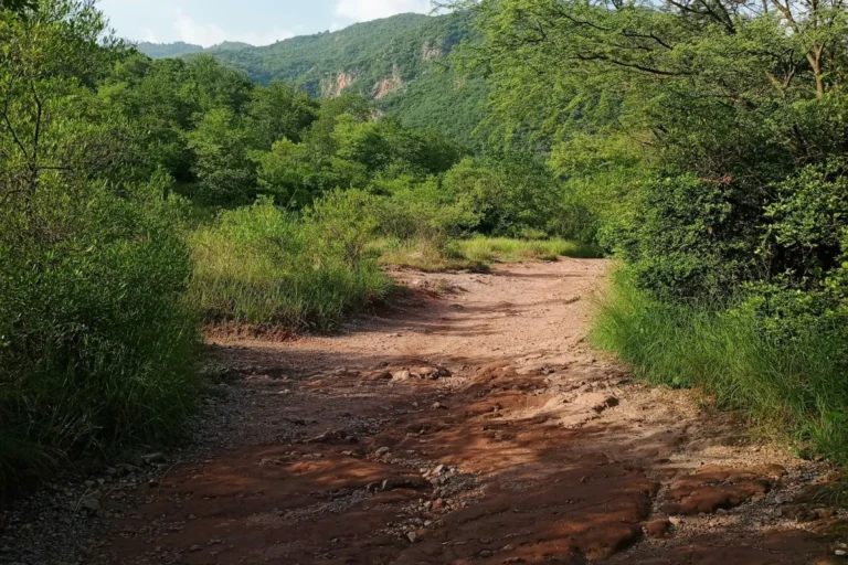 Walking path on Margalla Hills Trail 5 in Islamabad, Pakistan.