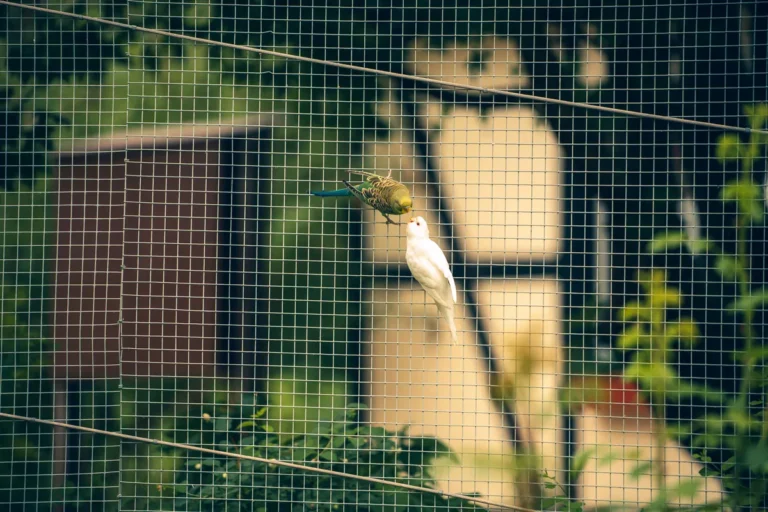 A white bird and a green parrot perched among leaves behind the wire mesh of a zoo aviary.